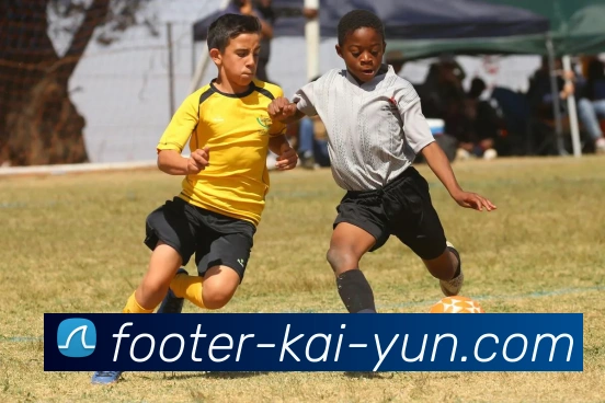 开云APP 高清赛事图